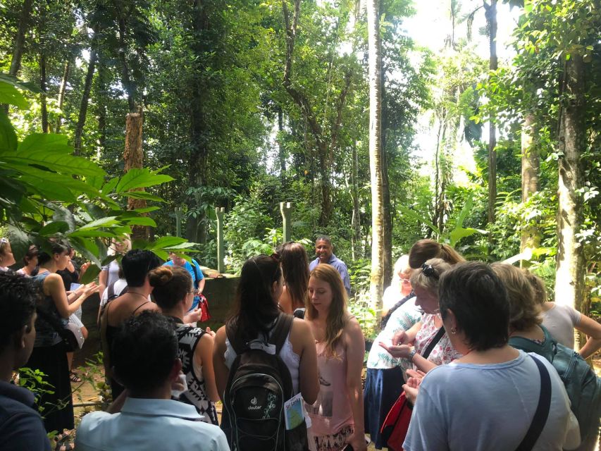 From Kandy: Pinnawala Day Tour - Tea, spices, and the stops that can feel commercial