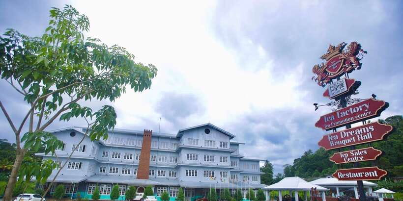 From Kandy: Pinnawala Day Tour - Peradeniya Royal Botanical Garden and the Big Buddha