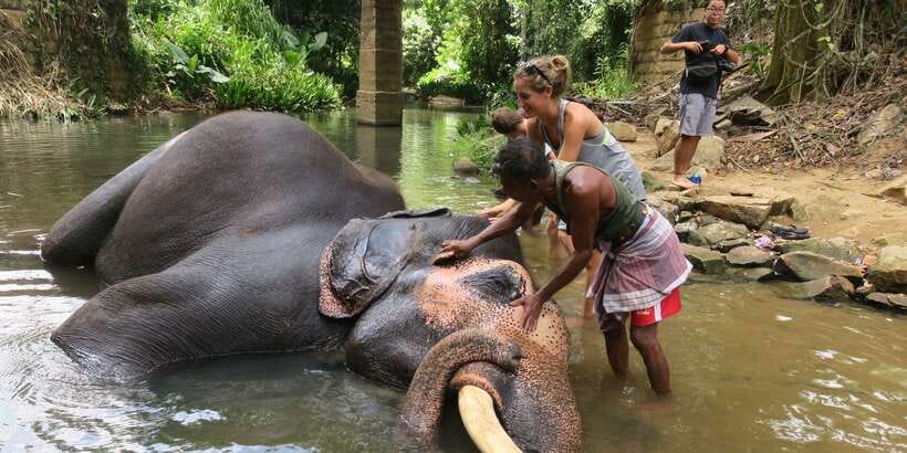 From Kandy: Pinnawala Day Tour - The morning road from Kandy to Kadugannawa