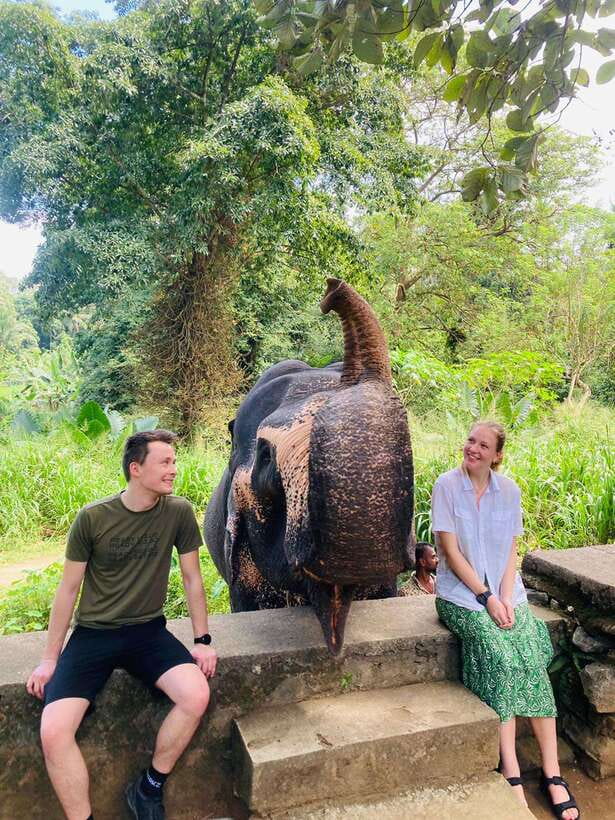 From Kandy : Pinnawala Elephant Orphanage & Ambuluwawa Tower - Key points before you book