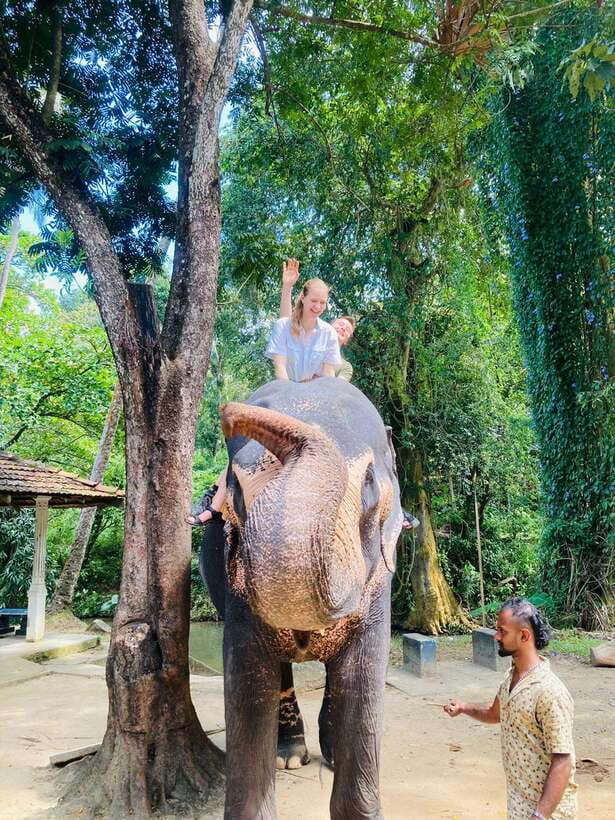 From Kandy : Pinnawala Elephant Orphanage & Ambuluwawa Tower - Should you book the Pinnawala and Ambuluwawa day?