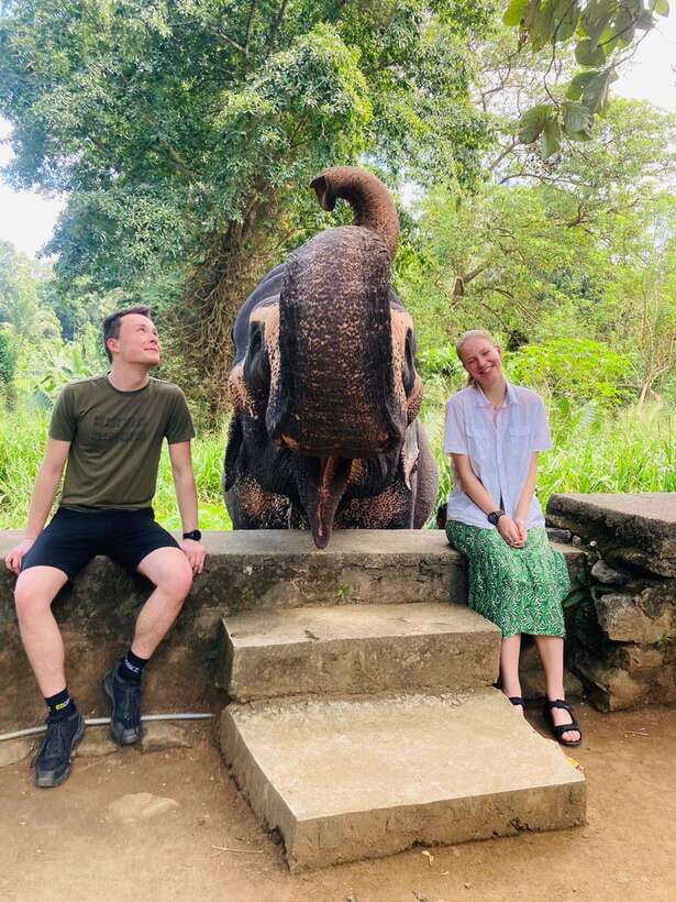 From Kandy : Pinnawala Elephant Orphanage & Ambuluwawa Tower - Royal Botanic Gardens and the Kandy side trips
