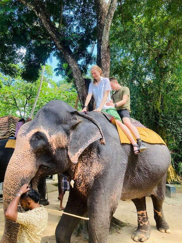 From Kandy : Pinnawala Elephant Orphanage & Ambuluwawa Tower - Starting around Kandy’s temples and viewpoints