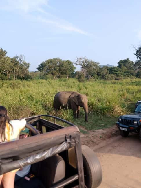 From Kandy: Sigiriya & Dambulla Day Tour with Safari - Why this Kandy day trip packs in so much