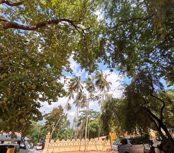 From Kandy: Sigiriya & Dambulla Day Tour with Safari - What the private format means for you