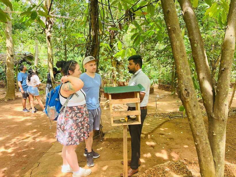 From Kandy: Sigiriya Day Tour with Elephant Safari(group) - Spices, herbal plants, and the shopping stops