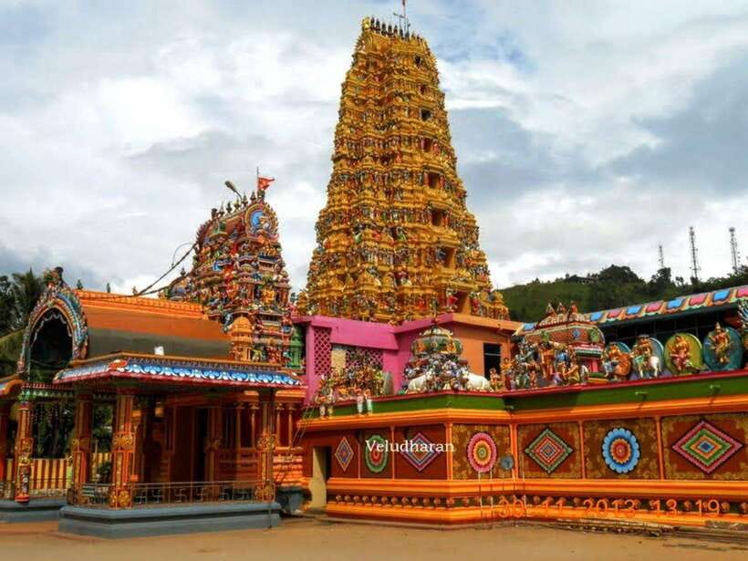 From Kandy: Sigiriya Guided Tuk-Tuk Tour - Minneriya wildlife safari and elephant country