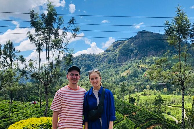 From Kandy to Nuwara Eliya Day Tour - What the private car changes