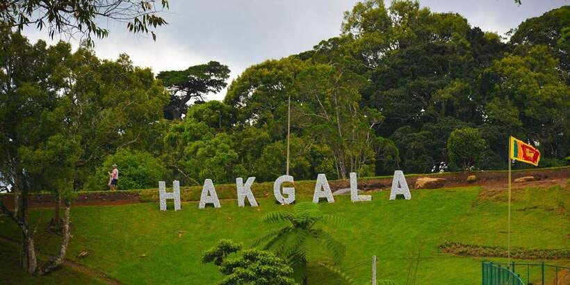 From Kandy To Nuwara Eliya Drop Tour - Private Tour - Price, timing, and what you really receive
