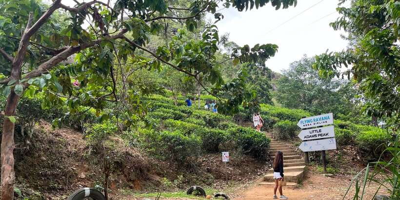 From kandy Train, and Pool Club Day Tour with Pickup - At a glance