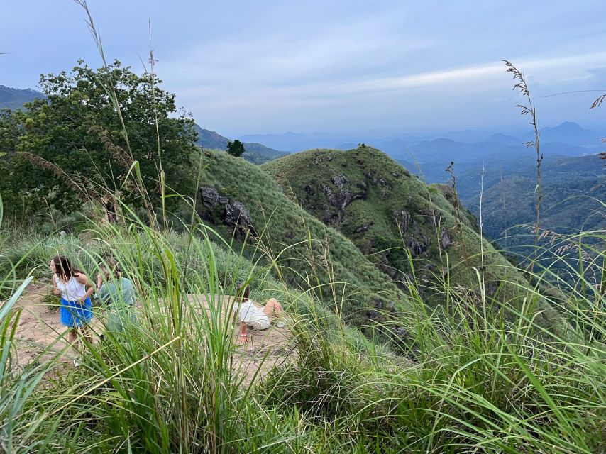 From kandy Train, and Pool Club Day Tour with Pickup - The short train ride and why timing matters