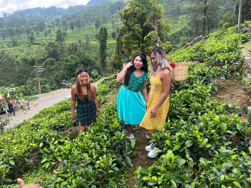 From kandy Train, and Pool Club Day Tour with Pickup - Nine Arch Bridge, Ella’s signature photograph