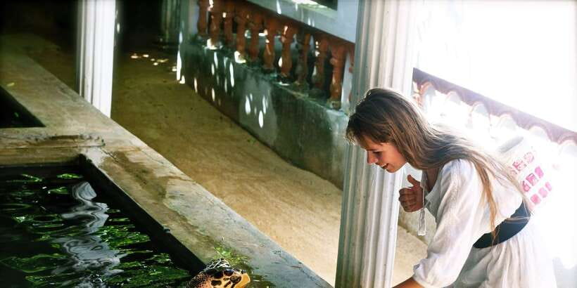From Negombo: Bentota Full-Day Tour - What this Bentota day trip is really like