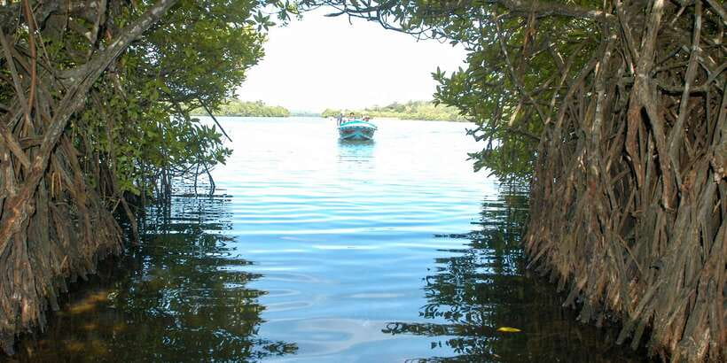 From Negombo: Bentota Full-Day Tour - Lunch, timing, and the cost of the day