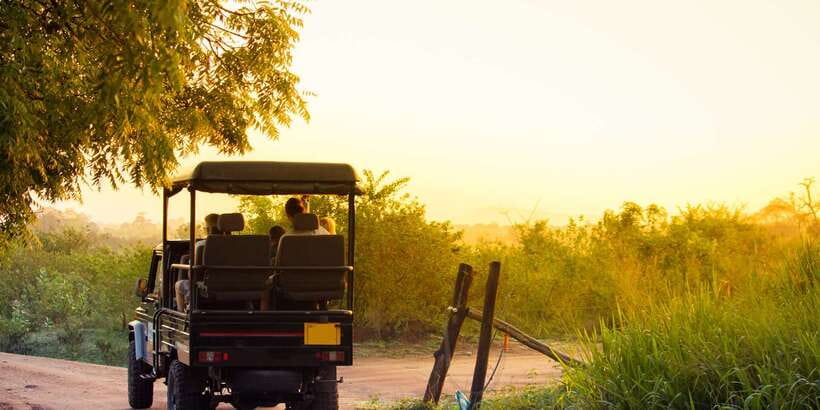 From Negombo: Minneriya National Park Safari Tour - The 8:00 AM pickup from Negombo