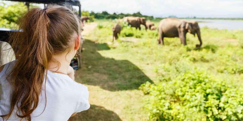From Negombo: Minneriya National Park Safari Tour - The $105 price and what it really covers