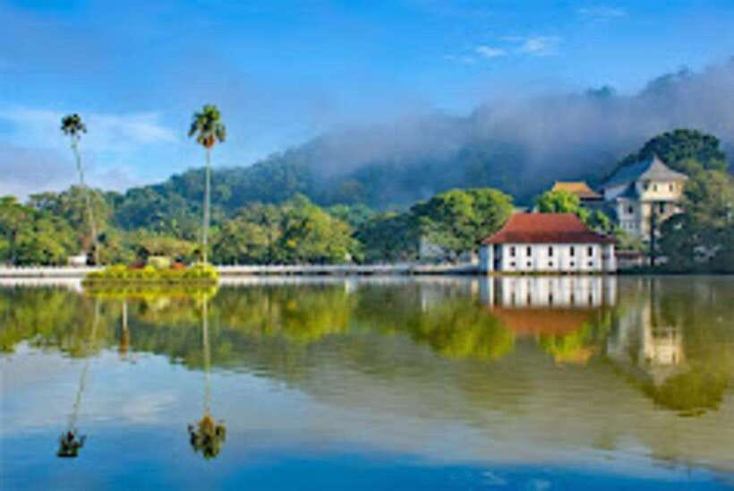 From Negombo : Pinnawala & Tea Factory & Kandy Full Day Trip - A very full day from Negombo to Kandy