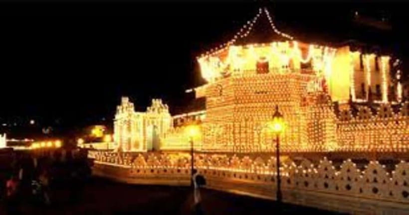 From Negombo : Pinnawala & Tea Factory & Kandy Full Day Trip - Kandy Lake, the cultural show, and city views