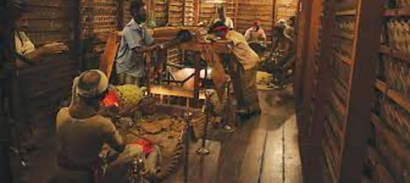 From Negombo : Pinnawala & Tea Factory & Kandy Full Day Trip - What the $47 price really covers