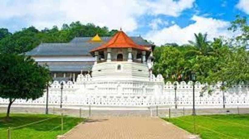 From Negombo : Pinnawala & Tea Factory & Kandy Full Day Trip - Who will enjoy this private Kandy day trip
