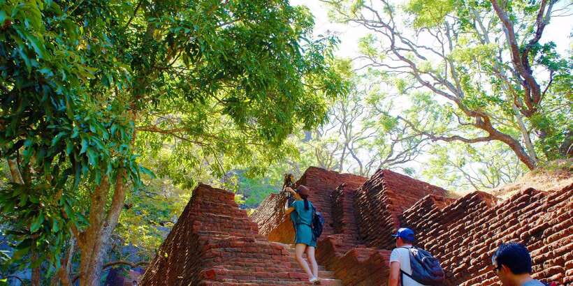 From Negombo: Sigiriya and Dambulla Day Trip and Safari - Why this Negombo day trip works