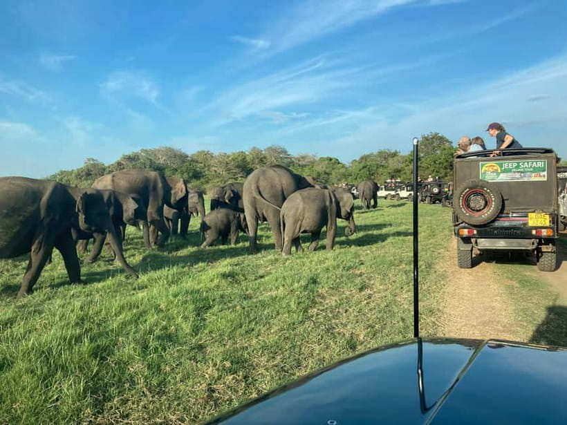 From Sigiriya: Hurulu Eco Park Elephant Jeep Safari - Entering Hurulu Eco Park by private jeep