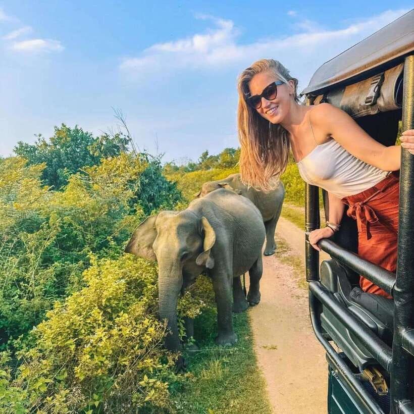 From Sigiriya : Hurulu Eco Park Safari : All Inclusive - Watching Sri Lankan elephants in the wild
