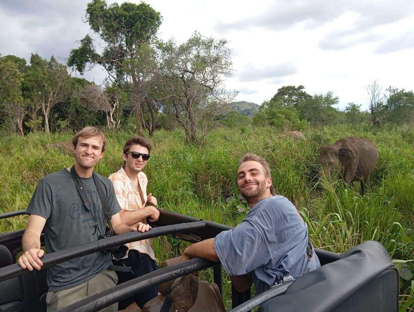 From Sigiriya: Minneriya National Park Half-Day Jeep Safari - Why Minneriya’s elephants are the main event