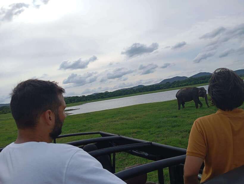 From Sigiriya: Minneriya National Park Half-Day Jeep Safari - The elephant-viewing ethics that matter