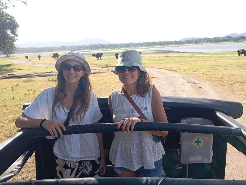 From Sigiriya: Minneriya National Park Half-Day Jeep Safari - From your hotel to the park gate