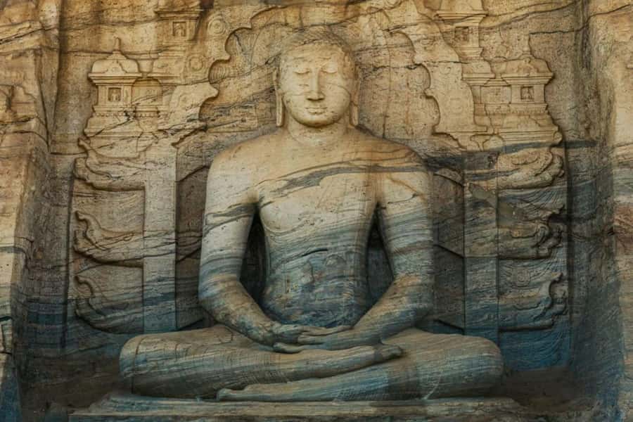 From Sigiriya :Polonnaruwa Ancient City Tour/Day Tour - Key points to know before booking