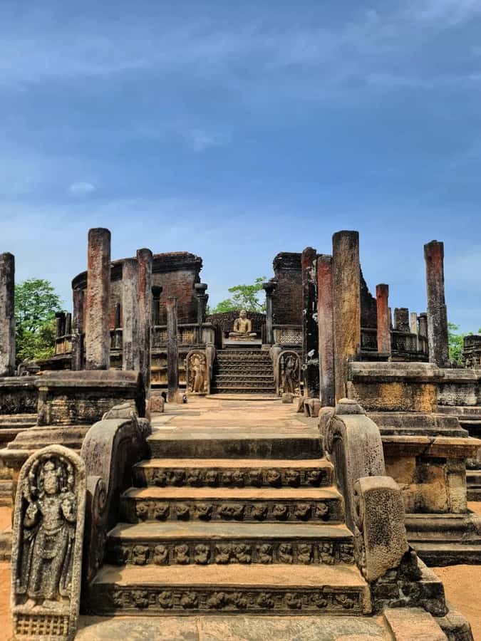 From Sigiriya :Polonnaruwa Ancient City Tour/Day Tour - Why Polonnaruwa works so well with a safari