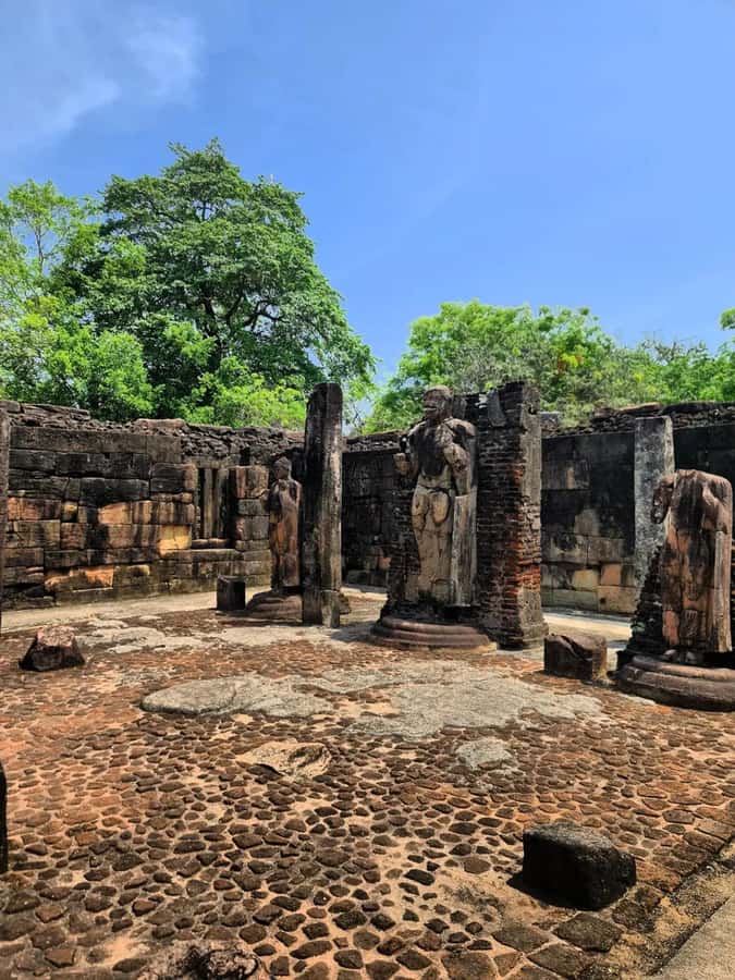 From Sigiriya :Polonnaruwa Ancient City Tour/Day Tour - The safari jeep and the elephant question
