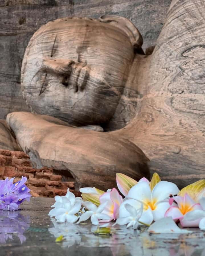 From Sigiriya :Polonnaruwa Ancient City Tour/Day Tour - From hotel pickup to the ancient city