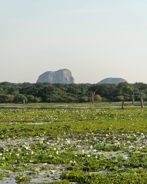 From Tangalle / Hiriketiya - Yala Safari - Drop-off : Ella - The transfer to Ella after the park