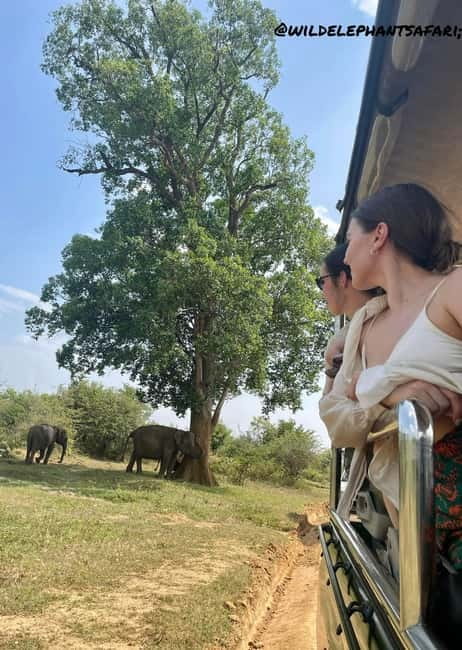 From Tangalle/ Hiriketiya: Yala Safari with Drop: Ella - Why the guide and driver can make or break the day