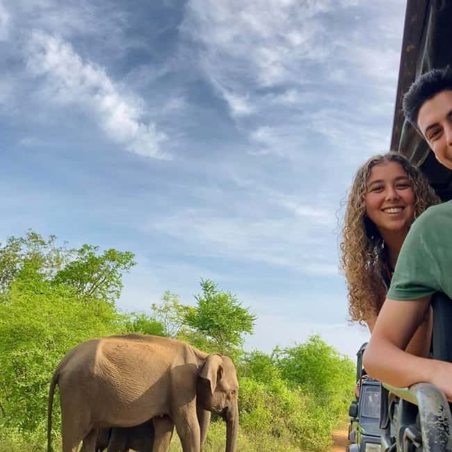 From Tangalle/ Hiriketiya: Yala Safari with Drop: Ella - The value of $11, once the park fee is added