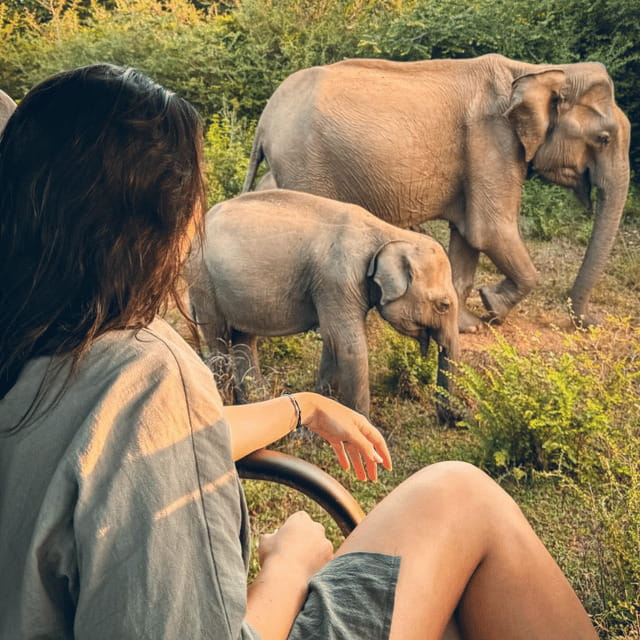 From Trincomalee : Minneriya / Kaudulla Elephant Safari - The driver, guide, and private-group format