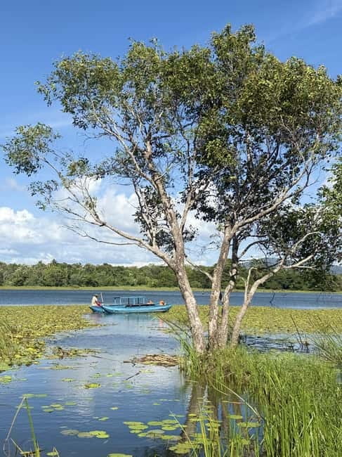 From Trincomalee: Village Tour & Minneriya Elephant Safari - Choosing the right elephant park for the season