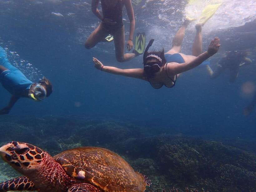 From Uppuveli Beach: Pigeon Island Snorkeling Tour - From Uppuveli Beach to Pigeon Island