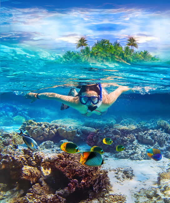 From Uppuveli Beach: Pigeon Island Snorkeling Tour - What makes Pigeon Island special