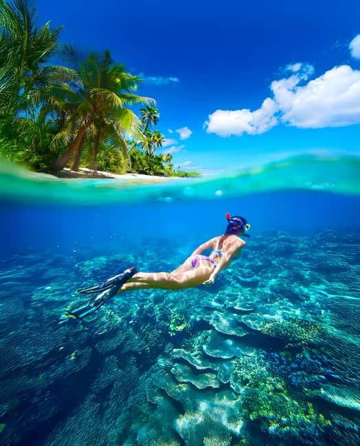 From Uppuveli Beach: Pigeon Island Snorkeling Tour - Sharks, turtles, and respectful wildlife viewing