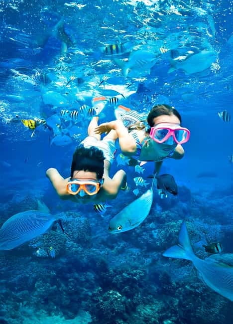 From Uppuveli Beach: Pigeon Island Snorkeling Tour - The snorkeling itself, from guided viewing to free time