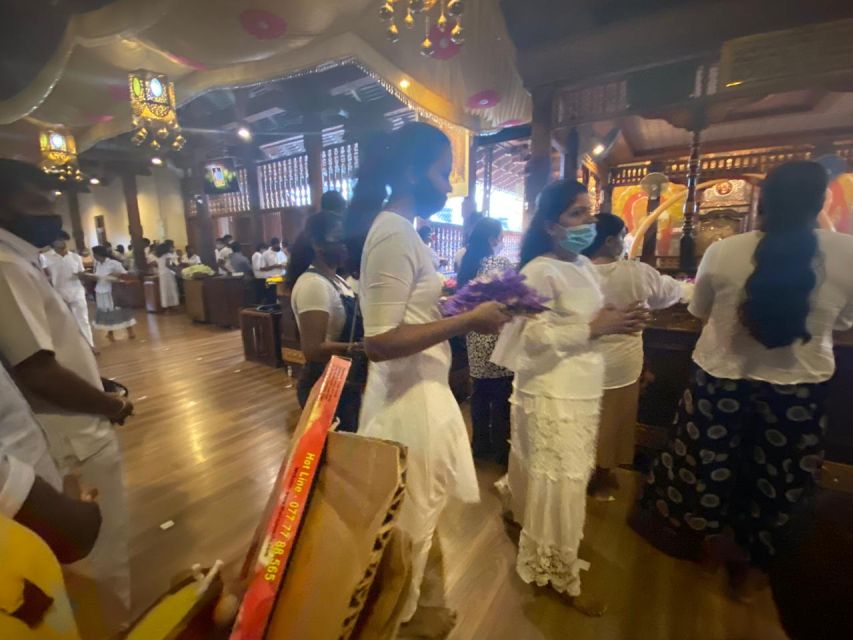 From west coast: Kandy, Tooth temple, Botanical & Tea garden - Seeing Kandy by Private Vehicle