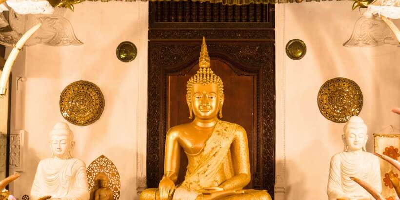 From west coast: Kandy, Tooth temple, Botanical & Tea garden - Guide Language and Group Style