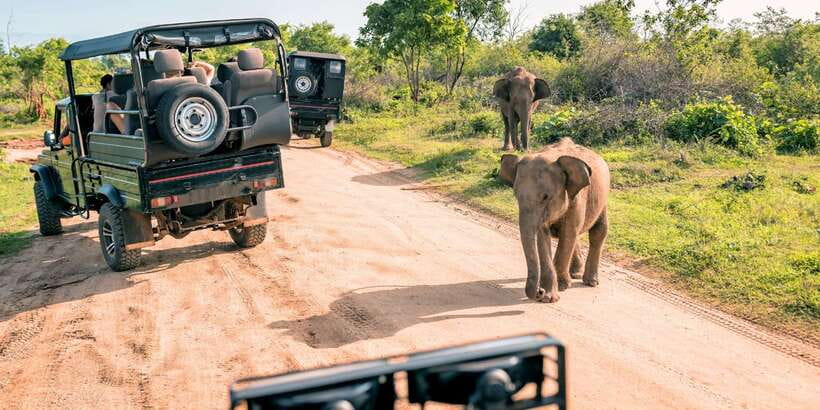 From Western Province: 2-Day Hill Country Highlights Trip - A coast-to-mountains route in only two days