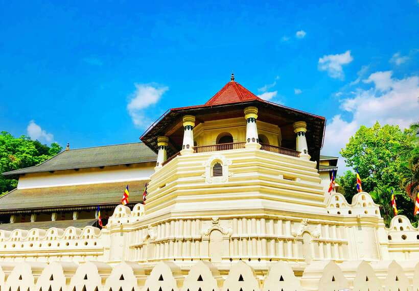 Full Coverage Kandy City Day Tour - Peradeniya Botanical Garden: start among palms and orchids