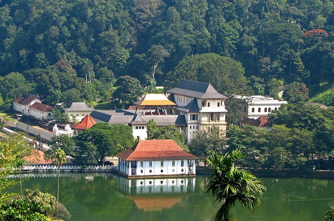 Full-Day Kandy Highlights Tour - What an $80 private day in Kandy really gives you