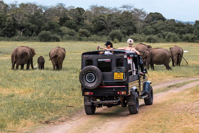 Full-Day Minneriya and Kaudulla National Parks Private Safari - Choosing the 5:30am or 2pm departure