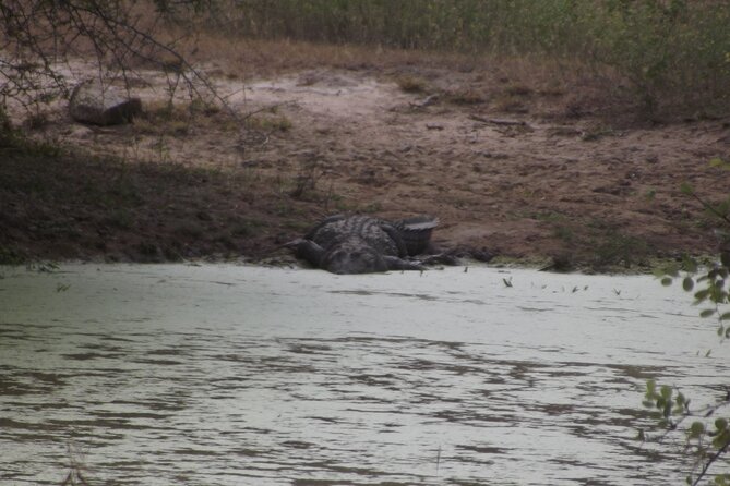 Full Day Safari Tour in Yala National Park - Is the $103.33 price good value?
